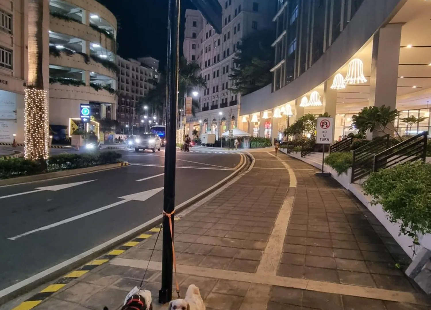 Palm Tree Condos Near Mnl Airport Terminal 3 By Elr Manilla Appartement