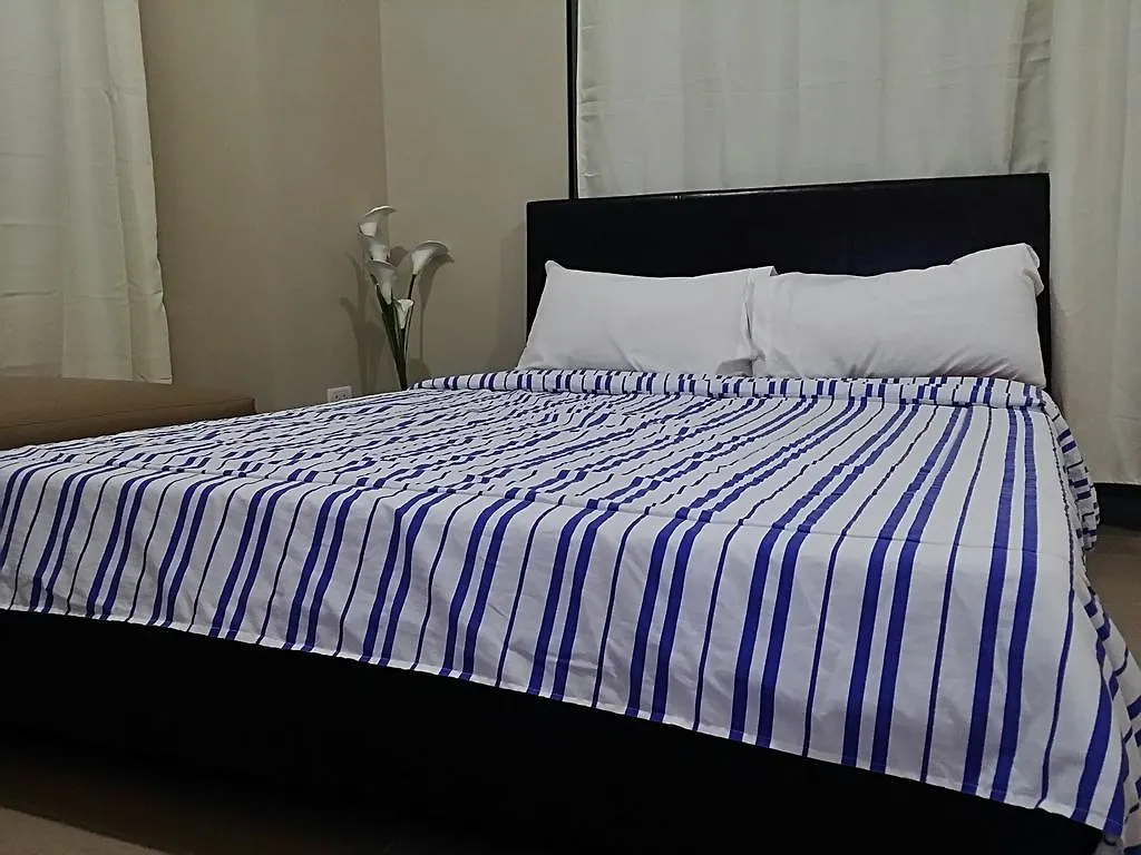 Palm Tree Condos Near Mnl Airport Terminal 3 By Elr Manilla Filippijnen